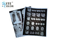 Film de représentation de radiologie de film de feuille de la base X Ray d'ANIMAL FAMILIER pour des feuilles de DR CT 100 par paquet