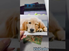 Rouleau de papier photo brillant de qualité supérieure pour imprimantes grand format Epson / Canon / HP