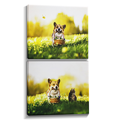 Améliorez la décoration de votre maison avec IMATEC S Inkjet Polyester Canvas pour les impressions personnalisées encadrées