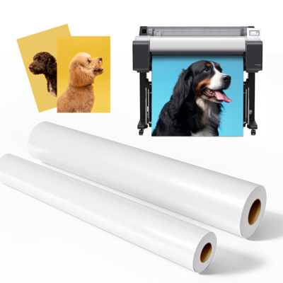 Ruloir de papier photo RC Luster microporeux de 260 grammes pour les imprimantes grand format Epson