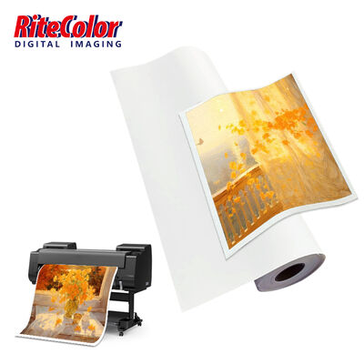 24'' 44'' Toile Matte en Polyester Jet d'encre Imperméable 260gsm Anti-craquelure Séchage Rapide Rouleau de Toile Aqueuse