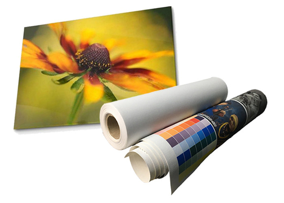 Latex Matte Waterproof Polyester Canvas Roll Eco 280gsm dissolvant